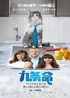 国产一精品一av一免费