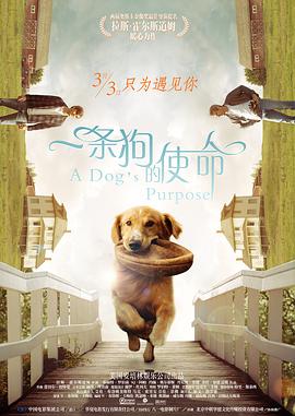 亚洲综合日韩在线亚洲欧美专区