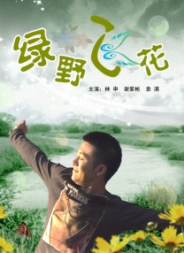 91精品在线看