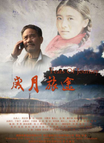 精品久久久久久国产免费了